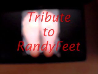 Tribute 에 randyfeet